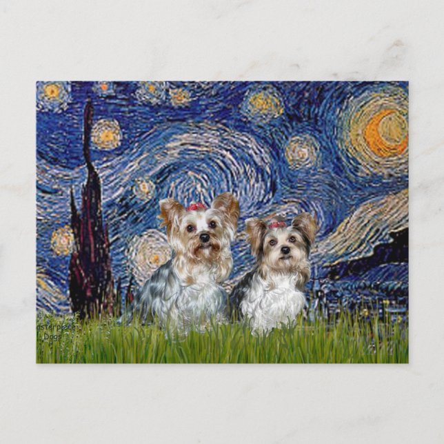 Carte Postale Yorkshire Terriers (13 et 15) - Nuit étoilée (Devant)
