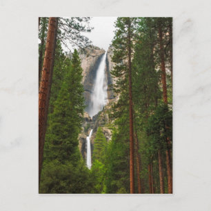 Carte Postale Yosemite Falls à travers la forêt