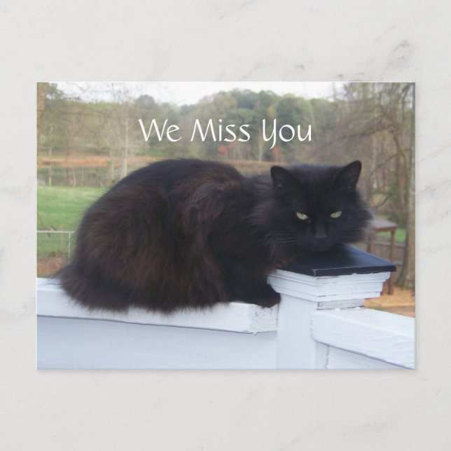 Carte postale You Kitty (Devant)