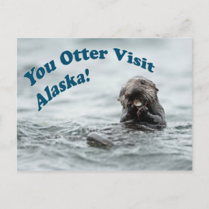 Carte Postale You Otter Visite l'Alaska