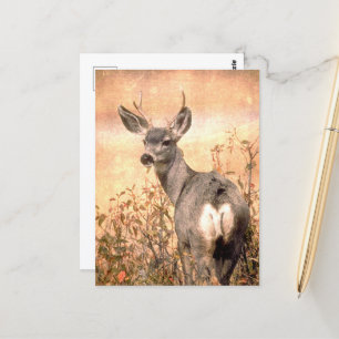 Carte Postale Young Deer en Fleur sauvage avec Grungy Texture Ar