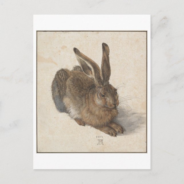 Carte Postale Young Hare par Albrecht Durer (Devant)