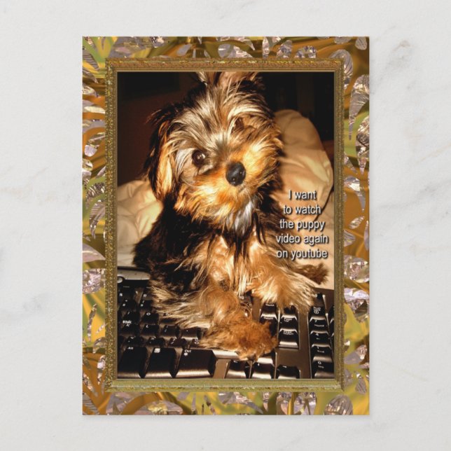 Carte Postale YouTube Yorkie (Devant)
