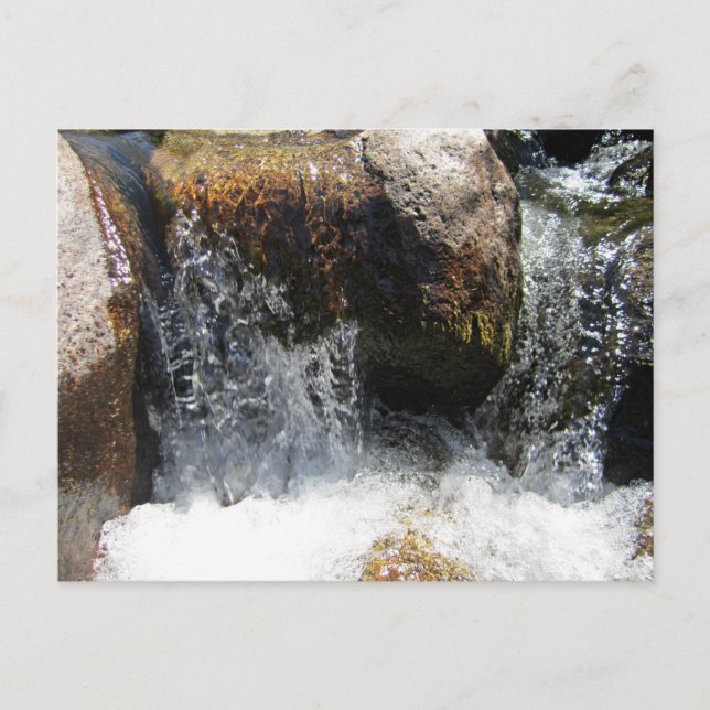 Carte Postale Yuba (Devant)