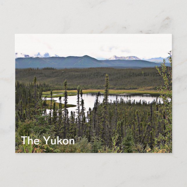 Carte Postale Yukon Pond (Devant)