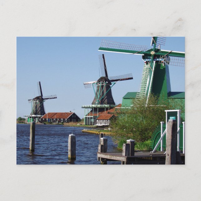 Carte Postale Zaanse Schans Moulins néerlandais en vert et blanc (Devant)