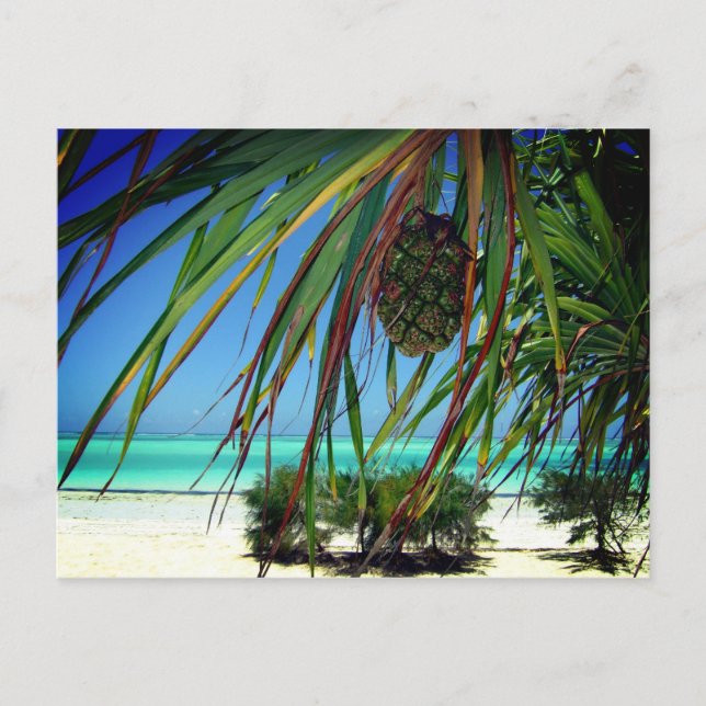 Carte Postale Zanzibar, Afrique (Devant)