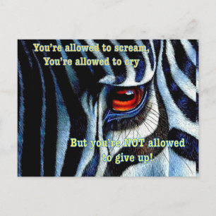 Carte postale Zebra