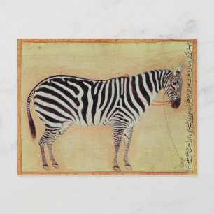 Carte Postale Zebra, de l'"Album Minto", Mughal, 1621,