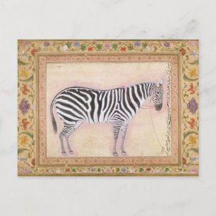 Carte Postale Zebra, de l'album Minto, 1621 (gouache sur pa