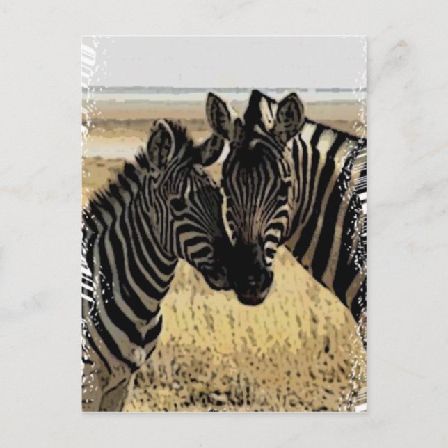 CARTE POSTALE ZEBRA LOVE (Devant)