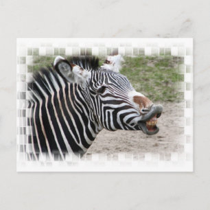 Carte postale Zebra souriante