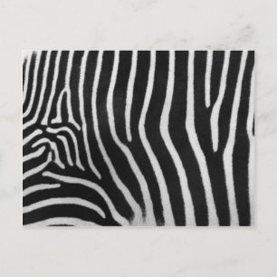 Carte Postale Zebra Stripe Pattern