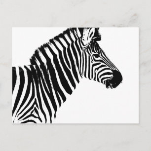 Carte Postale Zebra Stripes