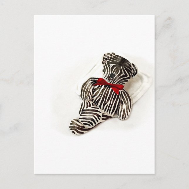 Carte Postale Zebra Teddy (Devant)