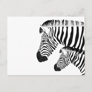 Carte Postale Zèbre et bébé