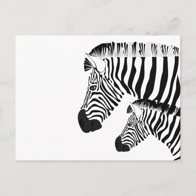 Carte Postale Zèbre et bébé (Devant)