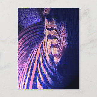 Carte Postale Zèbres brillants 09