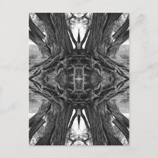 Carte postale Zen Master (Devant)