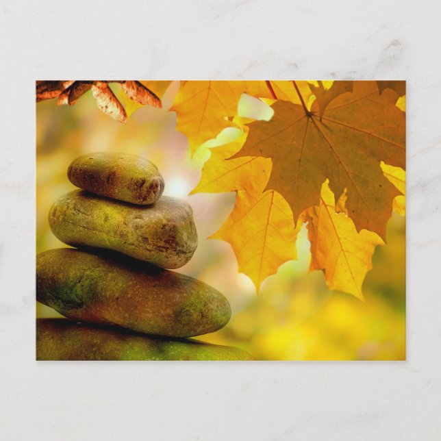Carte Postale Zen meditation stones and Maple Leaves (Devant)
