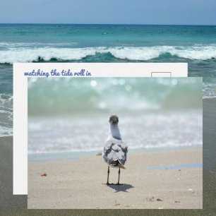 Carte Postale Zen Seagull à la plage Photographie