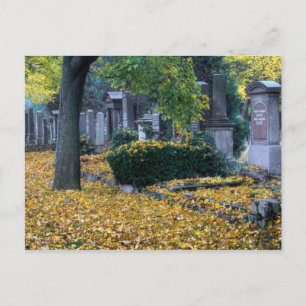 Carte Postale Zentralfriedhof