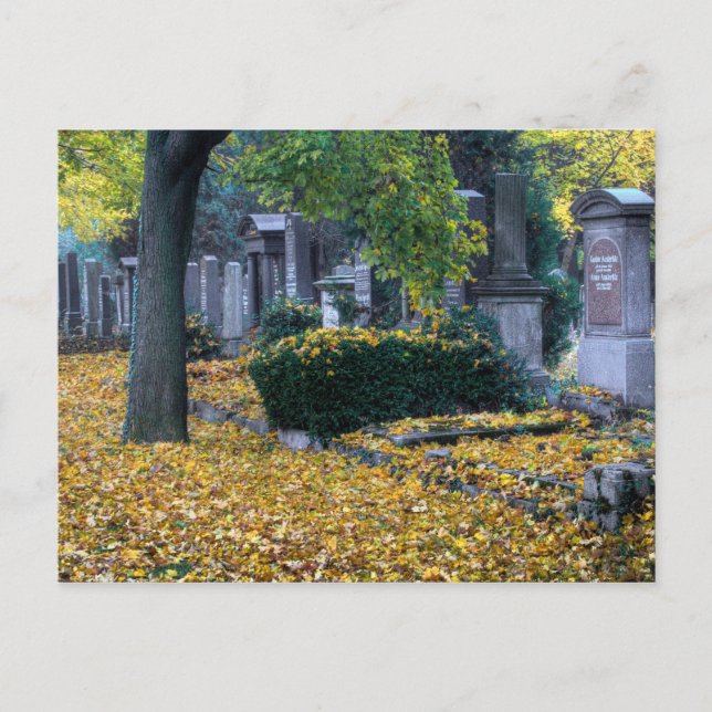 Carte Postale Zentralfriedhof (Devant)