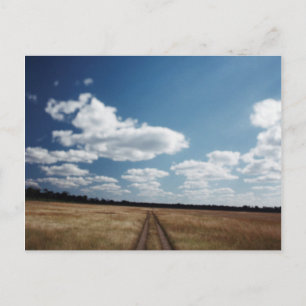 Carte Postale Zimbabwe, View of road near Linkwasha Airstrip 1