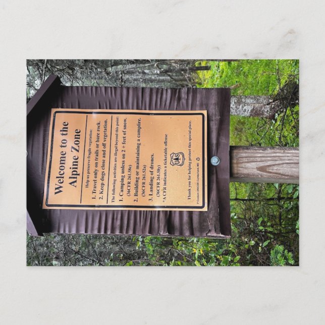 Carte Postale Zone alpine - White Mountains Forêt nationale (Devant)