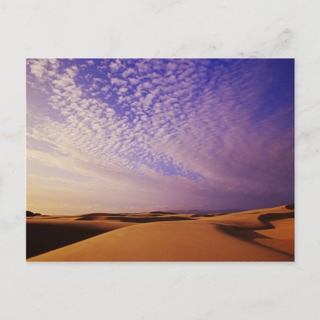 Carte Postale Zone de loisirs nationale des dunes de l'Oregon, O (Devant)