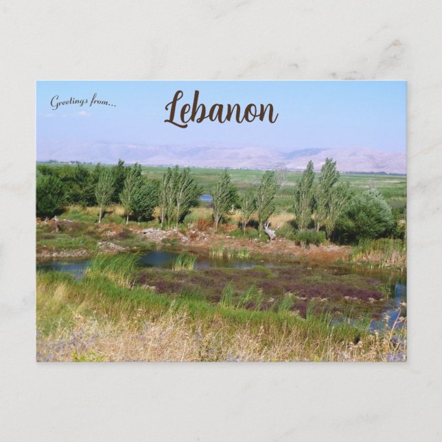 Carte Postale Zones humides dans la vallée de la Békaa au Liban (Devant)