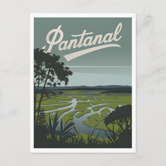 Carte Postale Zones humides tropicales du Pantanal (Devant)