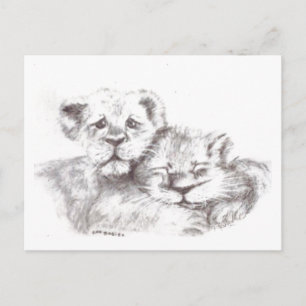 Carte postale Zoo Baby