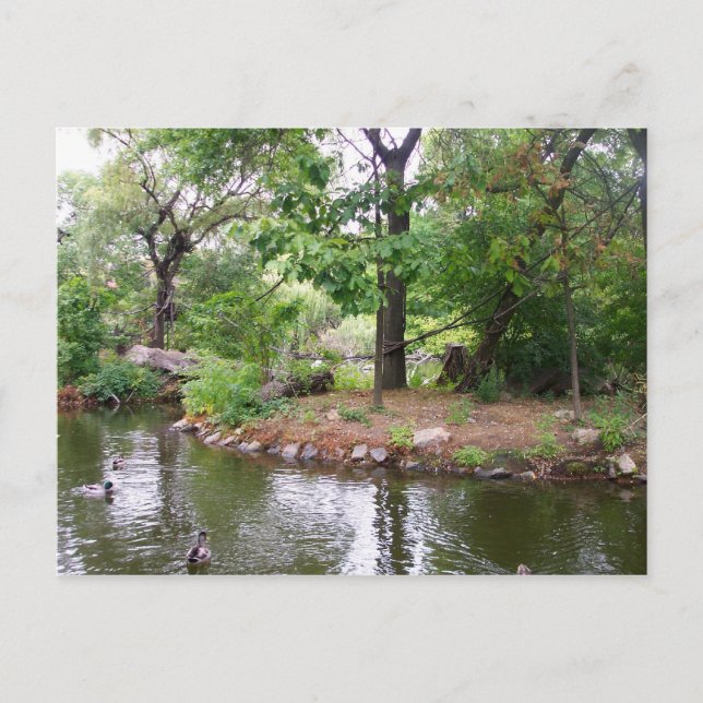 Carte postale Zoo Bronx (Devant)