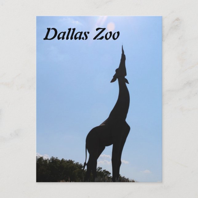 Carte Postale Zoo de Dallas (Devant)