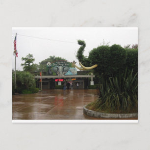 Carte Postale Zoo de San Diego