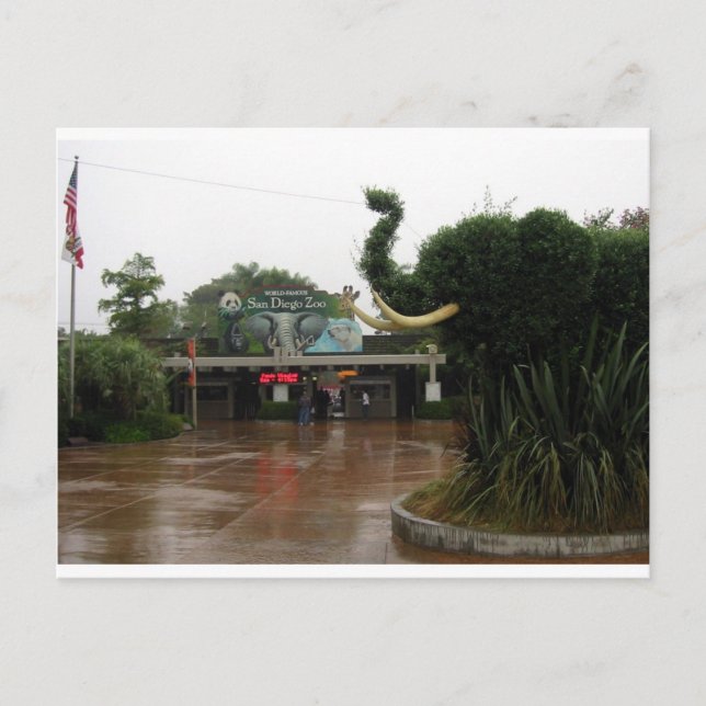 Carte Postale Zoo de San Diego (Devant)