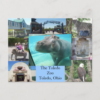 Carte Postale Zoo de Tolède