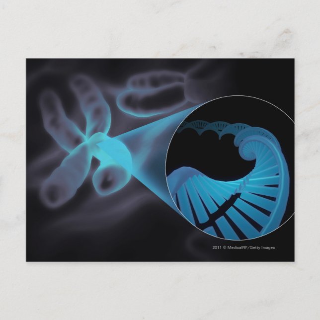 Carte Postale Zoom sur un brin d'ADN dans un chromosome (Devant)