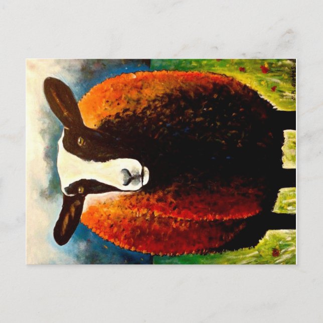 Carte Postale Zwartbles (Devant)