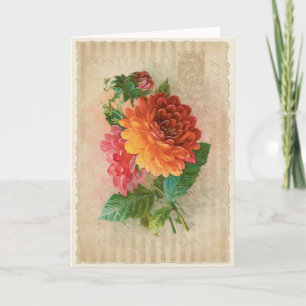 Carte Postcard Vintage Collection-Vol.4 - Greeting Card