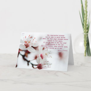 Carte Pot Blossom Sympathy