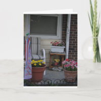 Pots à fleurs, Porches et lucioles