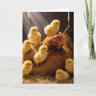 Carte Poule de naissance avec poussins dans une grange