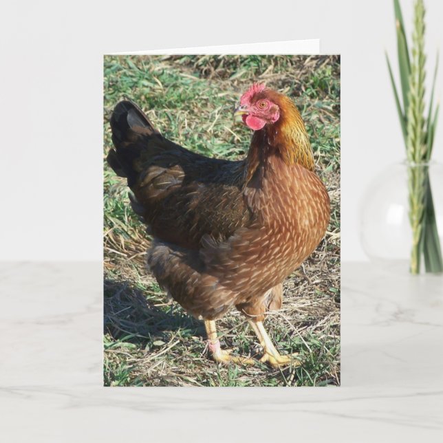 Carte Poule de Welsummer au soleil (Devant)