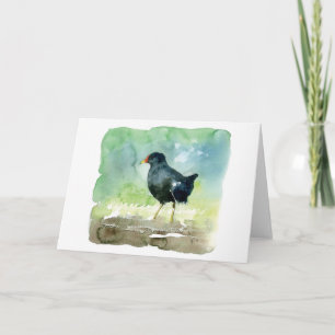 Carte poule d'eau commune