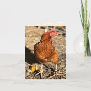 Carte Poule en mouvement avec le regard en coin