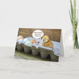 Carte poule et oeufs en boîte pour l'anniversaire de mam
