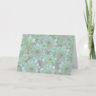 Carte Poules et pousses