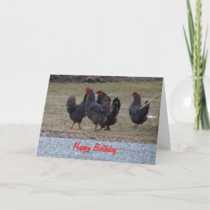 Carte Poulet Noir, Anniversaire